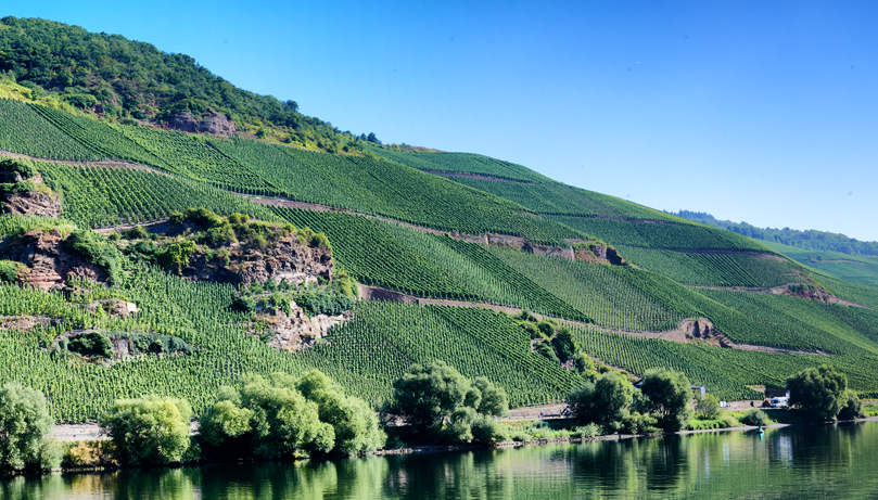 Christian_Hermann_Treppchen