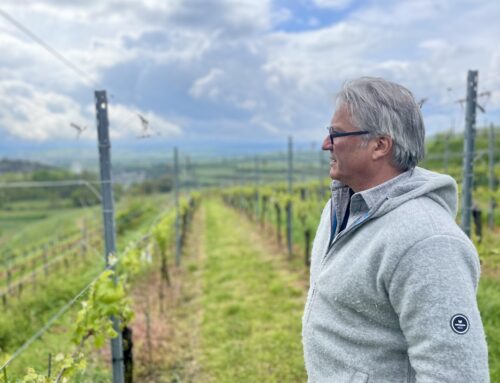 HÖFFLIN Paket 2: Gereifte Spitzenweine - das Beste aus dem Hause Höfflin